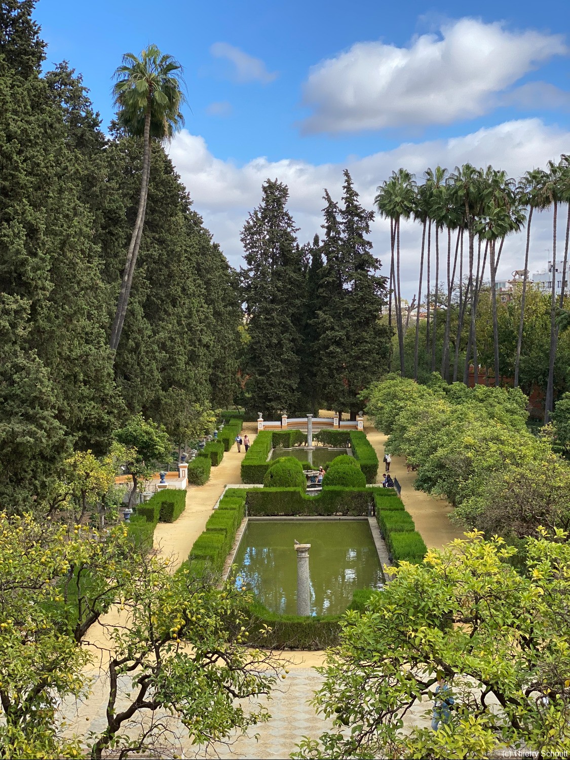 real alczar de sevilla 49049492703 o