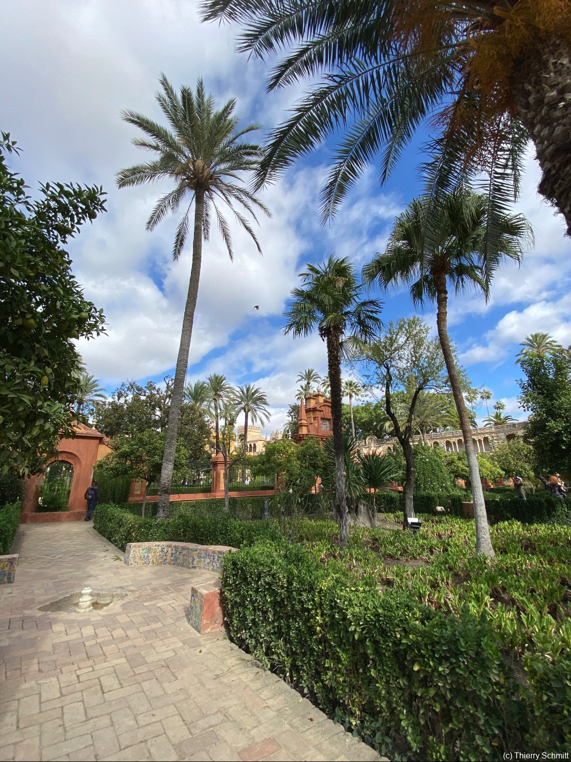 real alczar de sevilla 49049979301 o