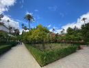 real alczar de sevilla 49049995531 o