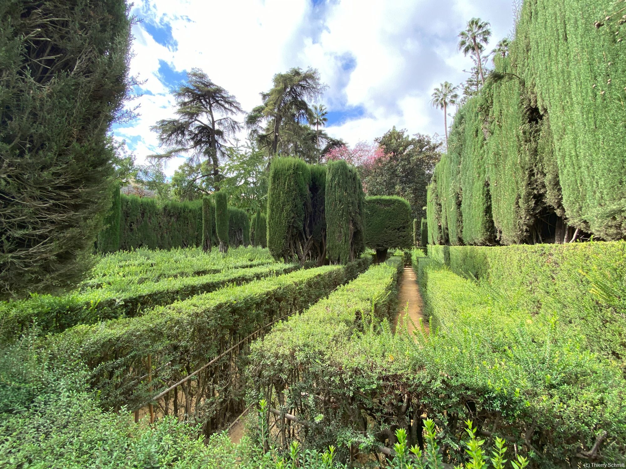 real alczar de sevilla 49049995601 o