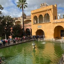 real alczar de sevilla 49050207442 o