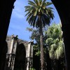 la cathdrale basilique mtropolitaine de la sainte croix et de sainte eulalie o