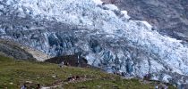 glacier de bionassay o