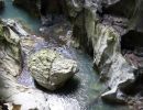 gorges du pont du diable o