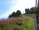 tramway du mt blanc o