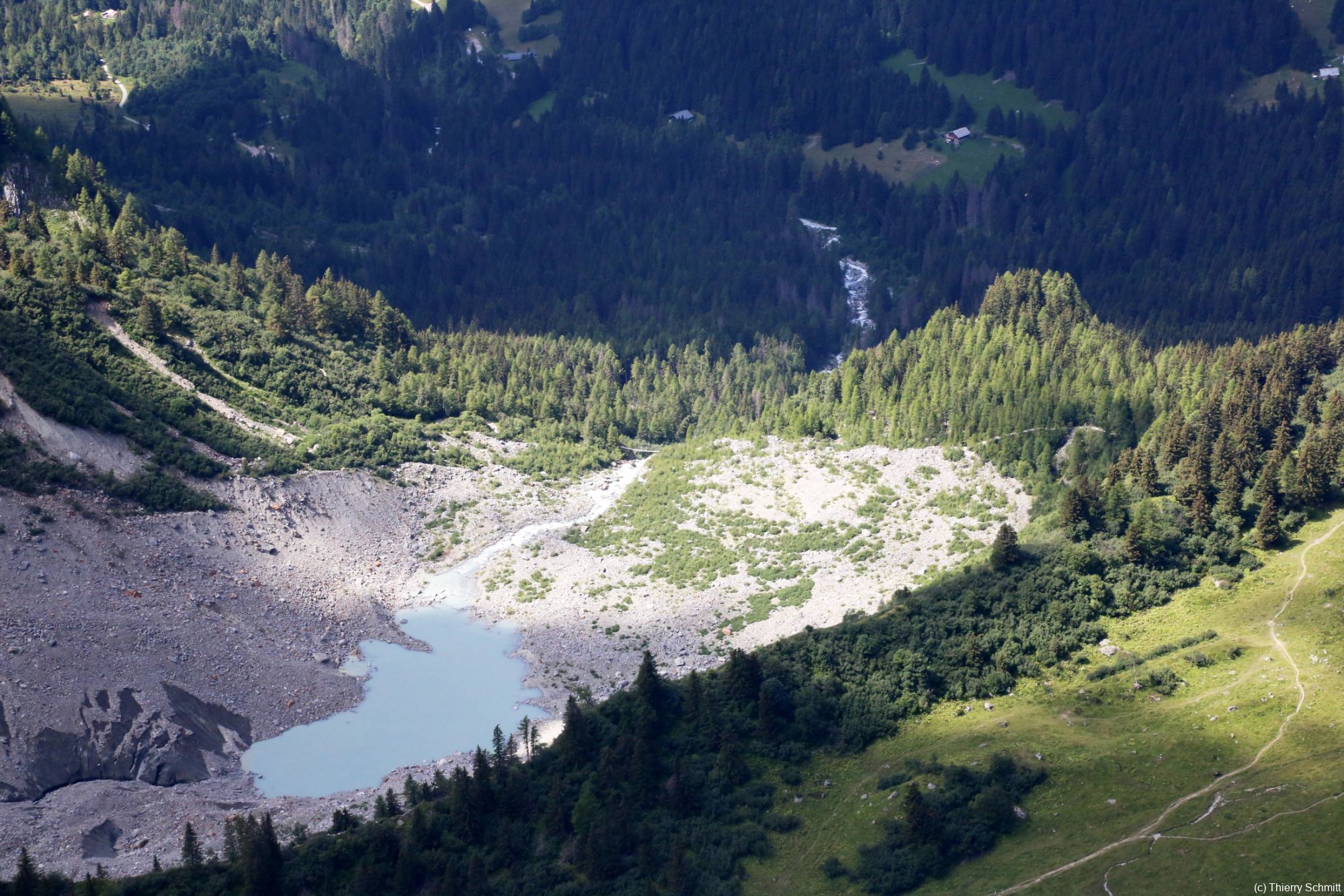 vue depuis le nid daigle o