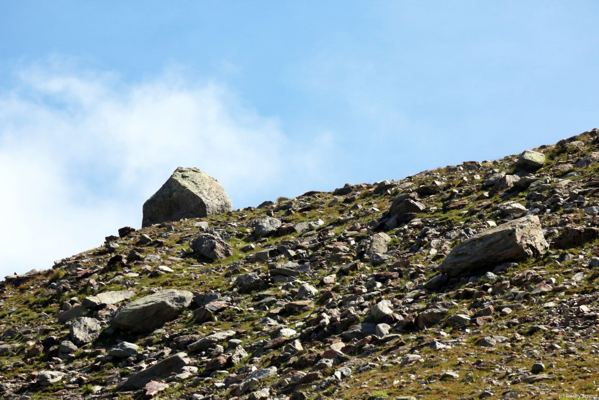 vue du nid daigle o