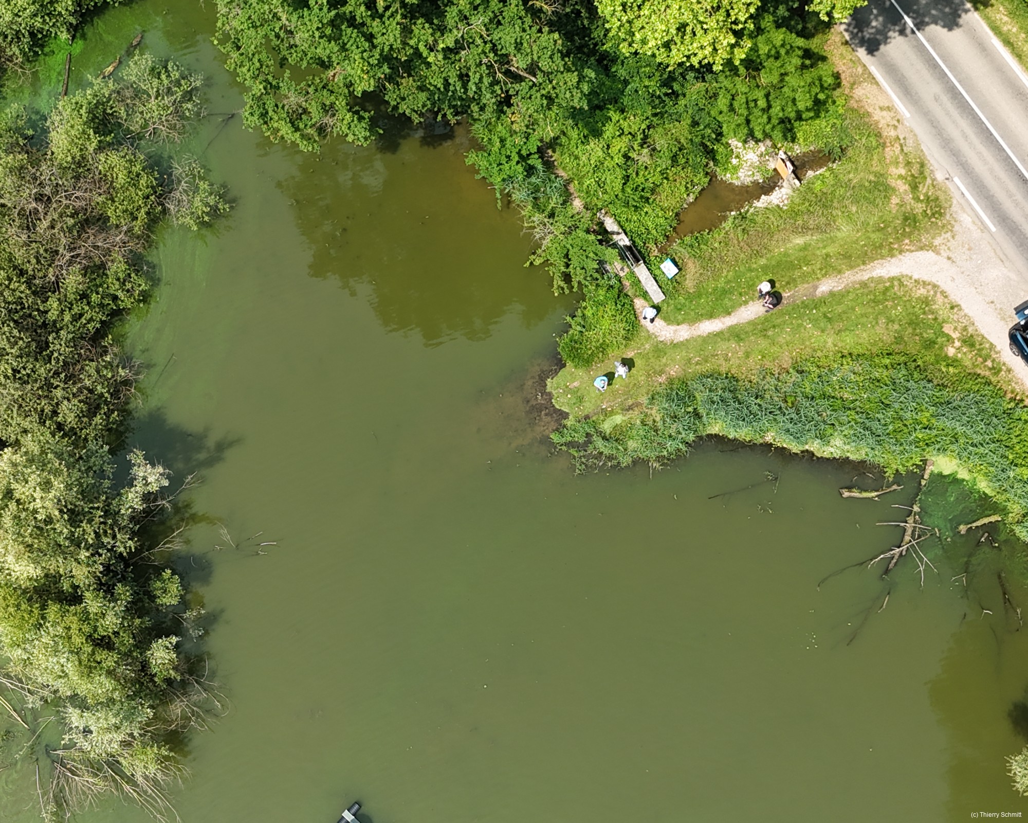 dji fly 20250609 115518 0065 photo