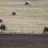 IMG 1252