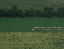 IMG 4161