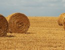 IMG 7960b