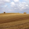 IMG 7984b
