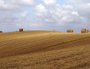 IMG 7984b