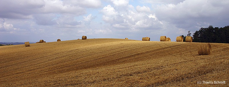 IMG 7984b