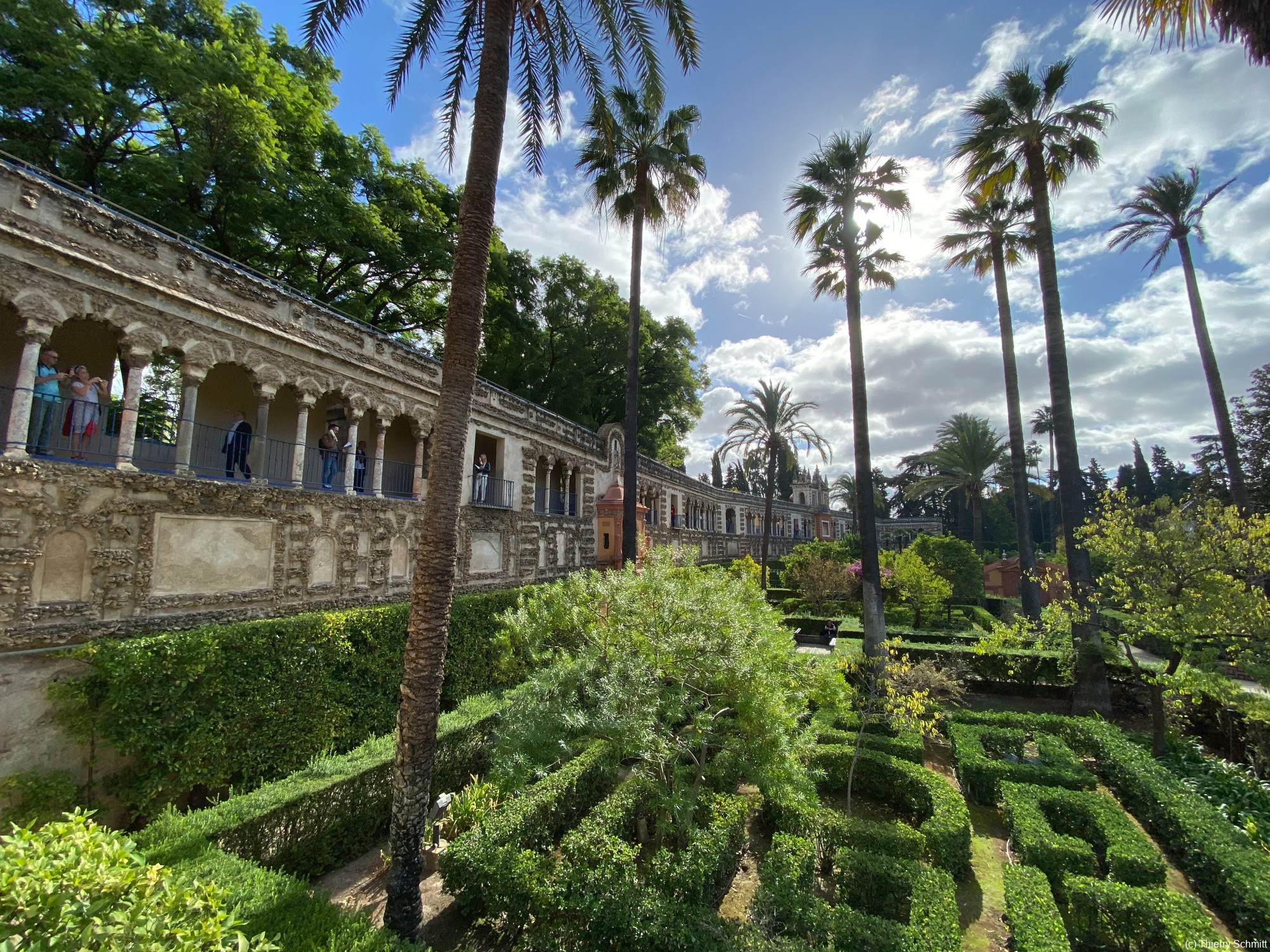 real alczar de sevilla 49049944371 o