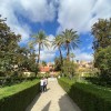 real alczar de sevilla 49050191392 o