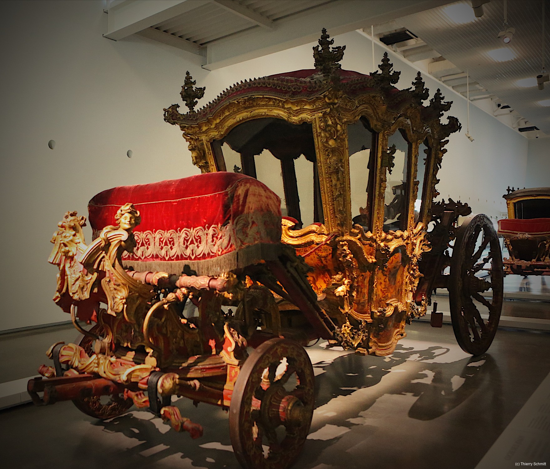 37651163384 ecd3233310 o