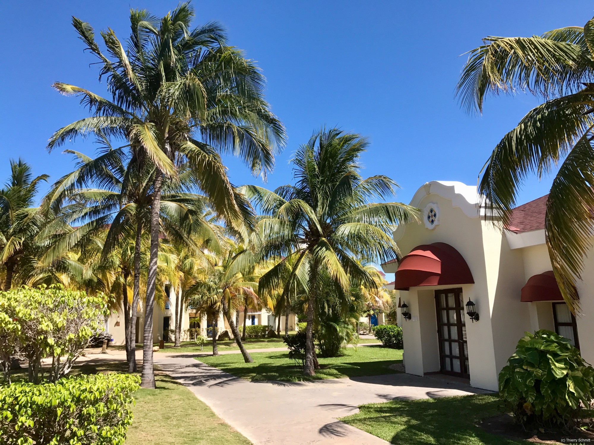 32833068763 15f2fa1cbd o