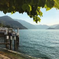 36728148656 866ac11b8b o