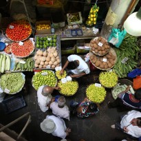 9j9a6173 25952783862 o