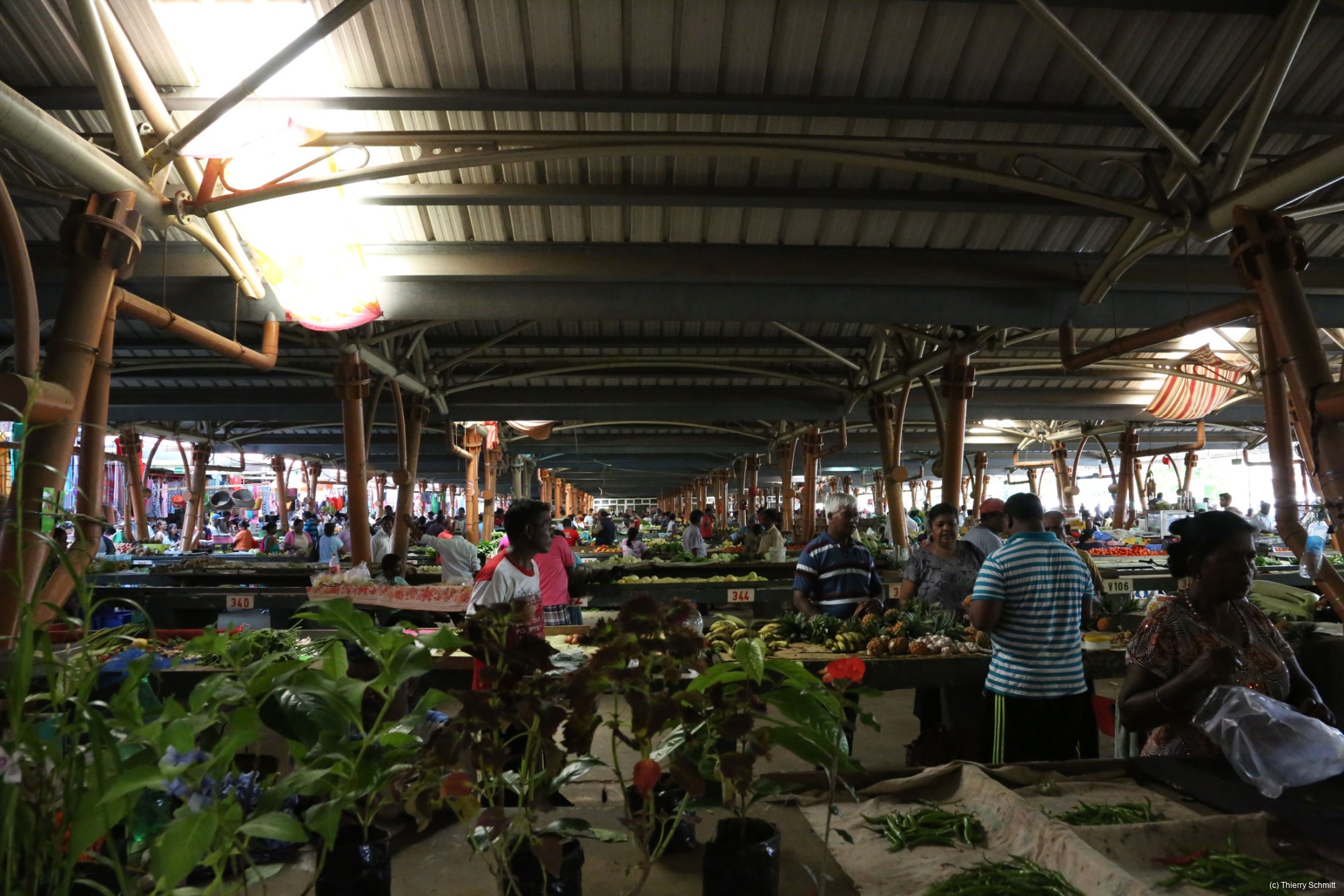 march  centre de flacq 26042809985 o