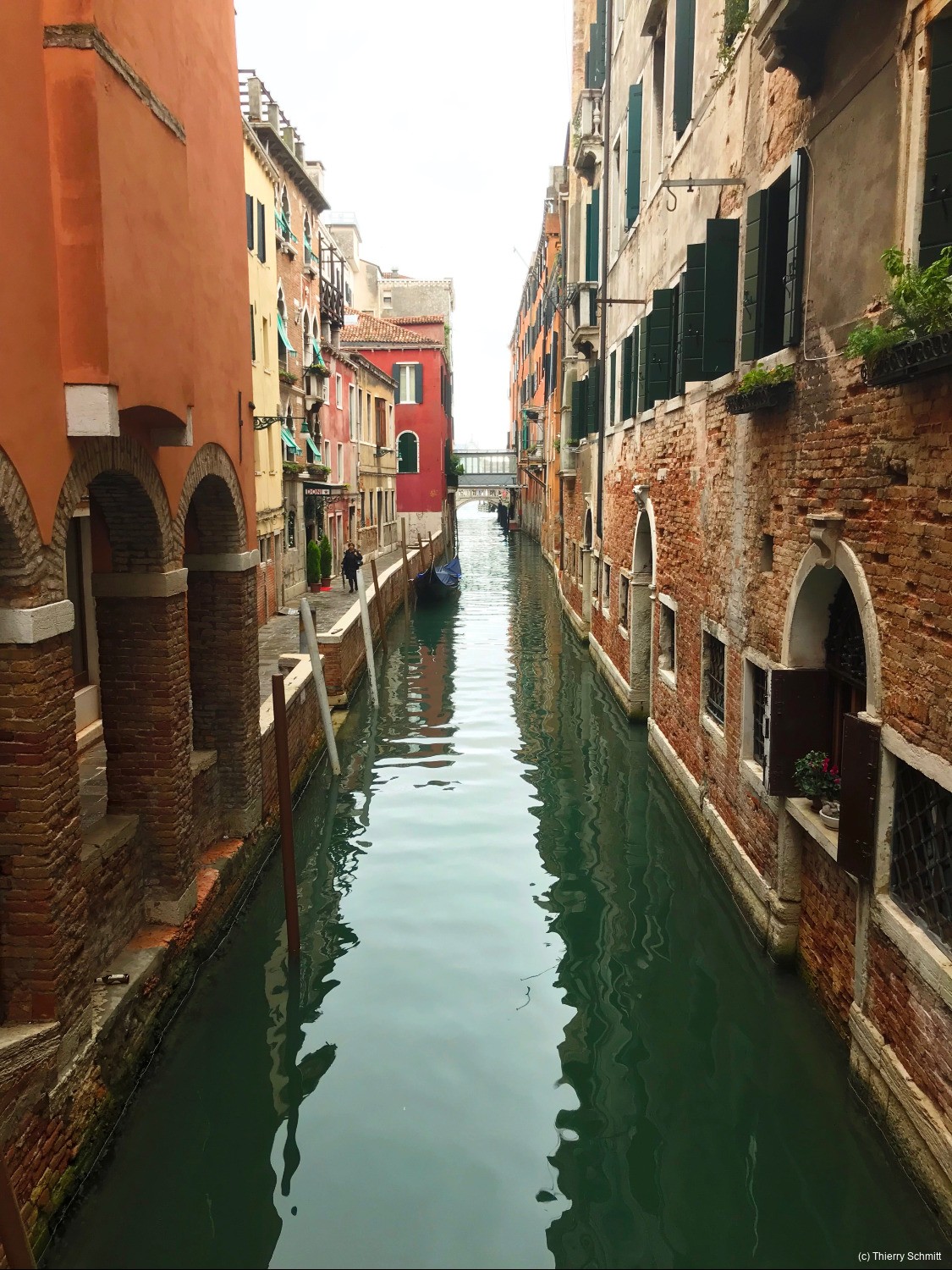 37557007731 2f06edfdc4 o