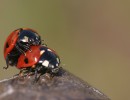 IMG 7880B