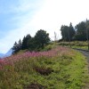 tramway du mt blanc o