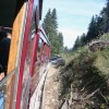 tramway du mt blanc o