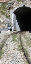 tramway du mt blanc o