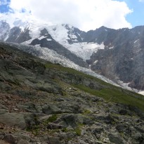 vue depuis le nid daigle o