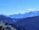 dji fly 20260920 112154 421 photo optimized