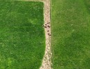 dji fly 20260920 112324 432 photo optimized