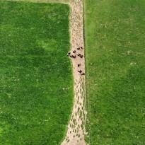 dji fly 20260920 112324 432 photo optimized
