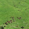 dji fly 20260920 112518 435 photo optimized