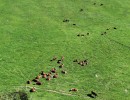 dji fly 20260920 112518 435 photo optimized
