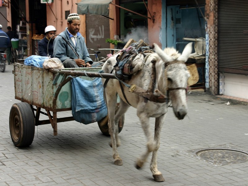 Maroc 2006