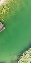 dji 20260811115212 d
