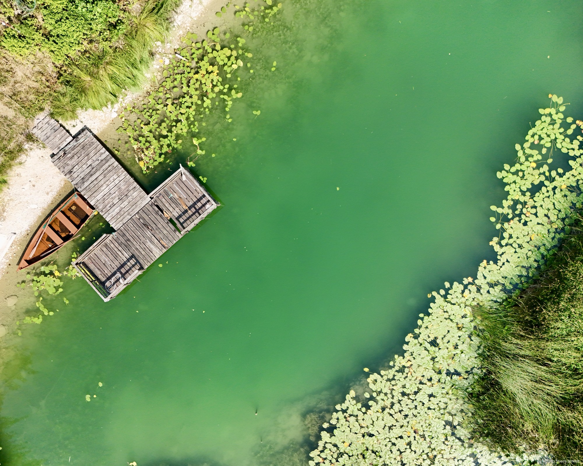 dji 20260811115212 d